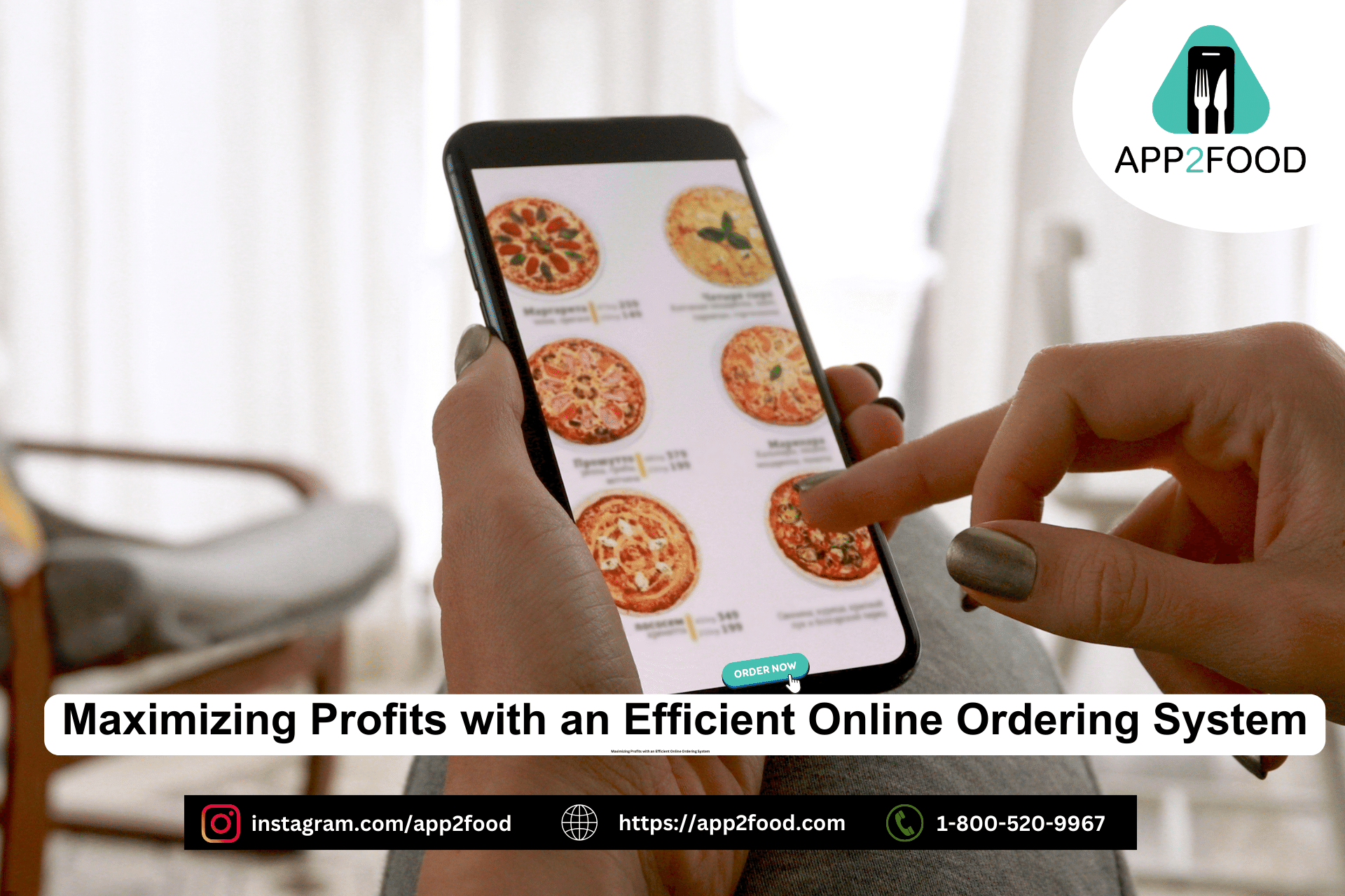Maximizing Profits with an Efficient Online Ordering System